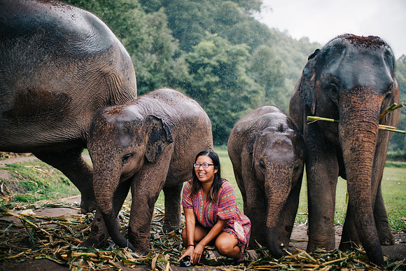 tbt to the really cool elephant pic anjie ruined