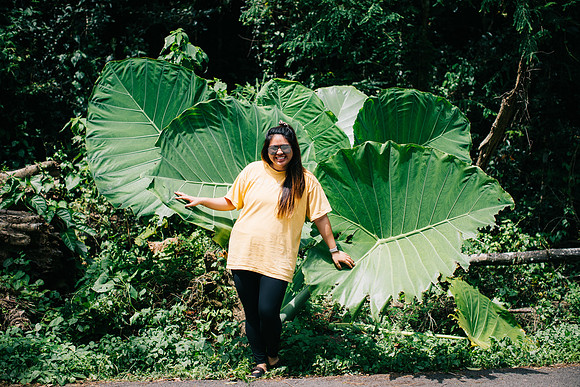 biiiiiiiiig leaf girl. get it? cuz the leaves are big. HAH.
