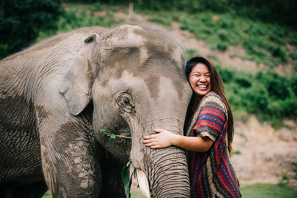 hug an elephant 10000/10 recommend